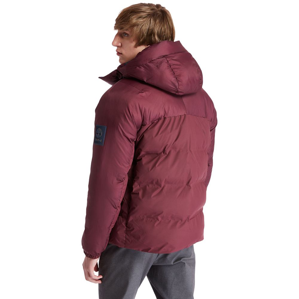 Geaca Timberland Barbati Visinii - Neo Summit Hooded Iarna - Romania - GOURIP974